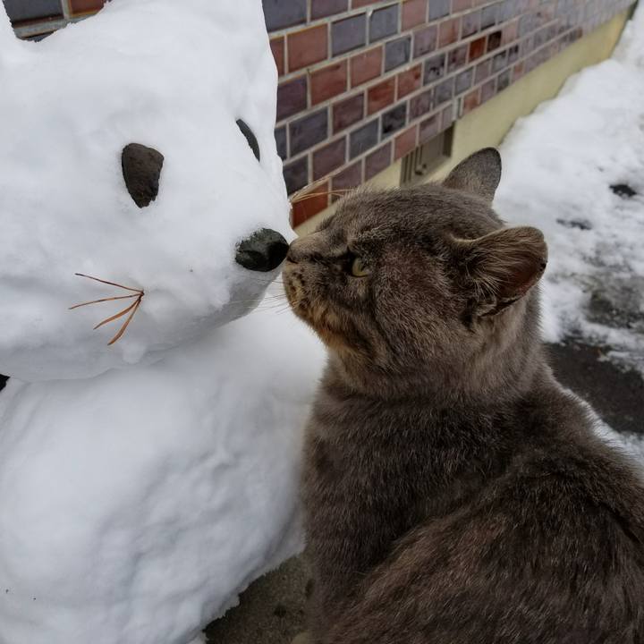 23c4c6ec 9c86 4d0e b5a3 69eb47bb0a52 1515474703959