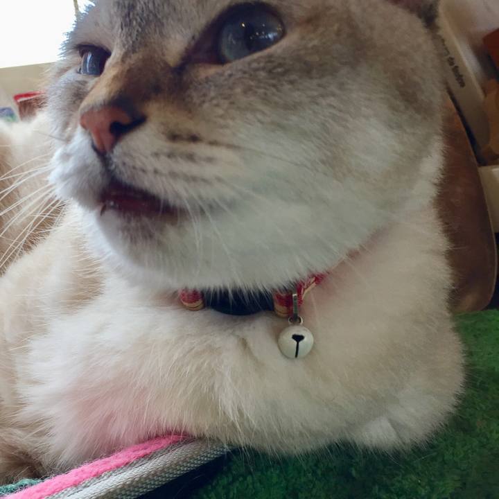 23c50071 ab6b 41ee b3fa 2f9030d95efe 1567223190896