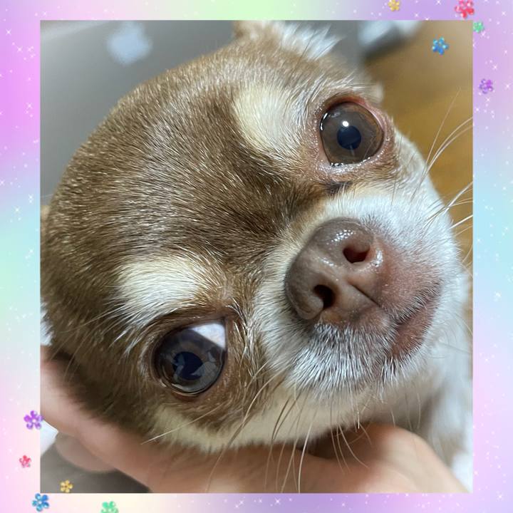 23c5210f 8a95 4df4 8748 8ea5d2517a7e 1676682108657