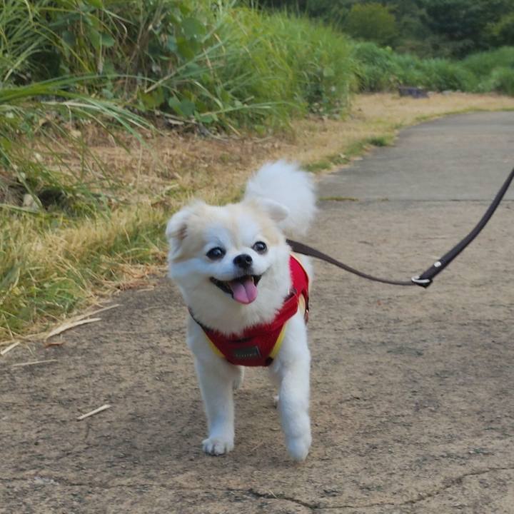 23c5b392 4b82 424e b05b 04d6582e01c1 1755007851800