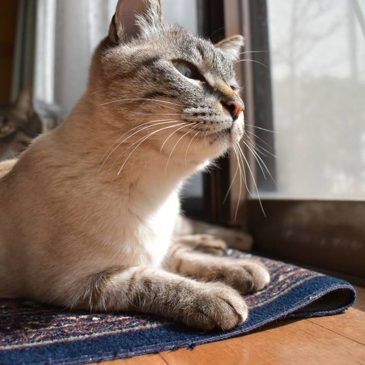 23c5ef4e 32fb 44a1 a058 f6ccffdb1ec5 1582260464605