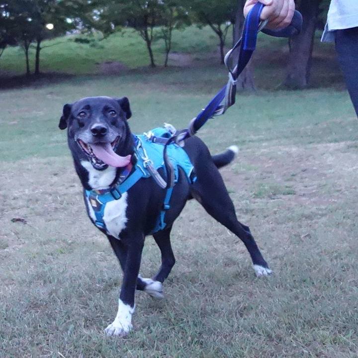 23c66e1b 3171 43d1 877e cedbe0105747 1690540732472