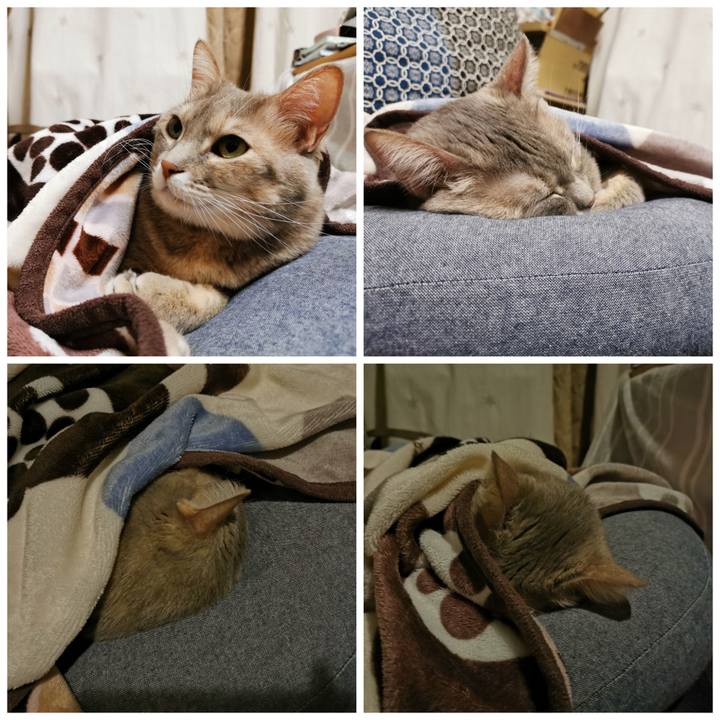 23c677cb e3a6 4fa7 94d4 7cad961978f2 1639795117102