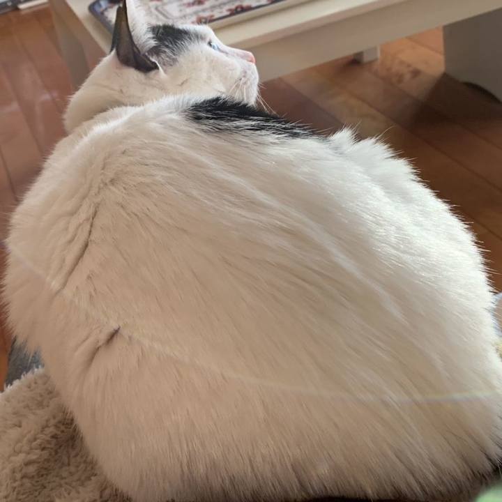 23c68845 1455 417a 92b3 c8bdf02f7e12 1549093310925