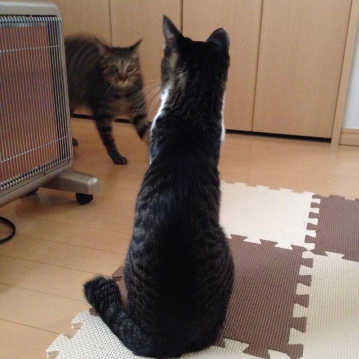 23c6cd5c 7ec9 4306 9258 0801ad24e470 1514308753268