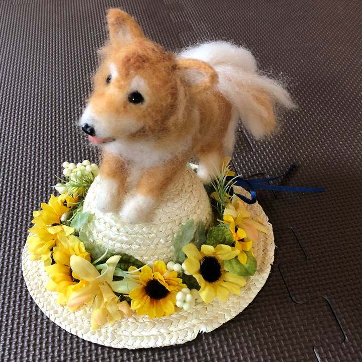 23c6d535 0443 4b7d 929a 395e490134e3 1532394116321