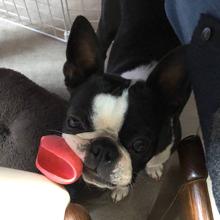 23c702b4 035f 4cc6 8984 99ea3de5284e 1588067139567