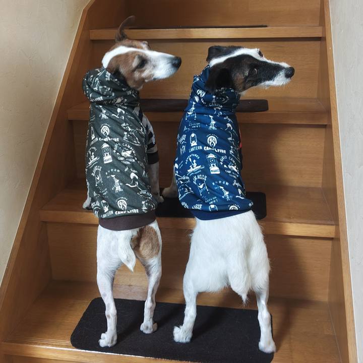 23c71777 348a 44ec 8044 2714ff83512a 1766313966677