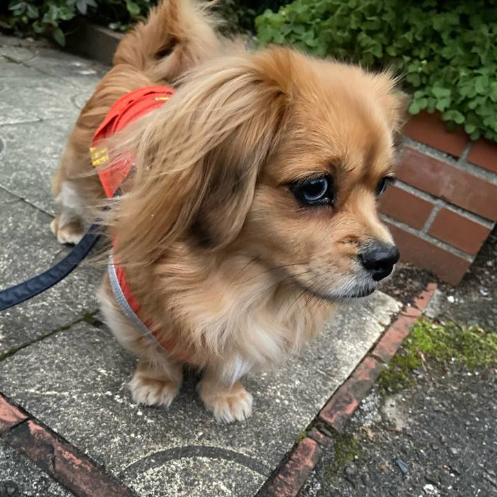 23c717d0 b2ed 4e91 a407 a8df963bb10b 1578348520458