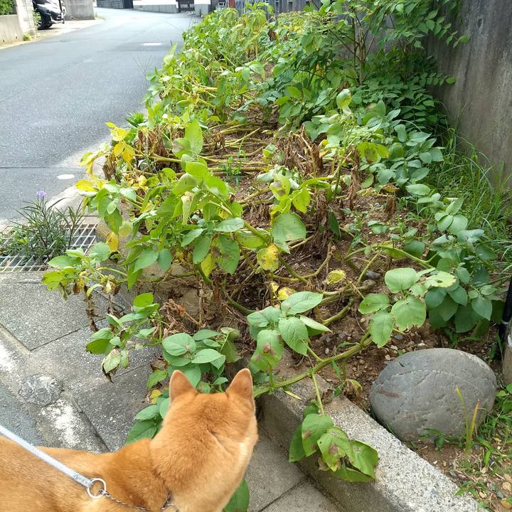 23c71963 5c0c 4146 a29f 60d797f471a3 1529974651980