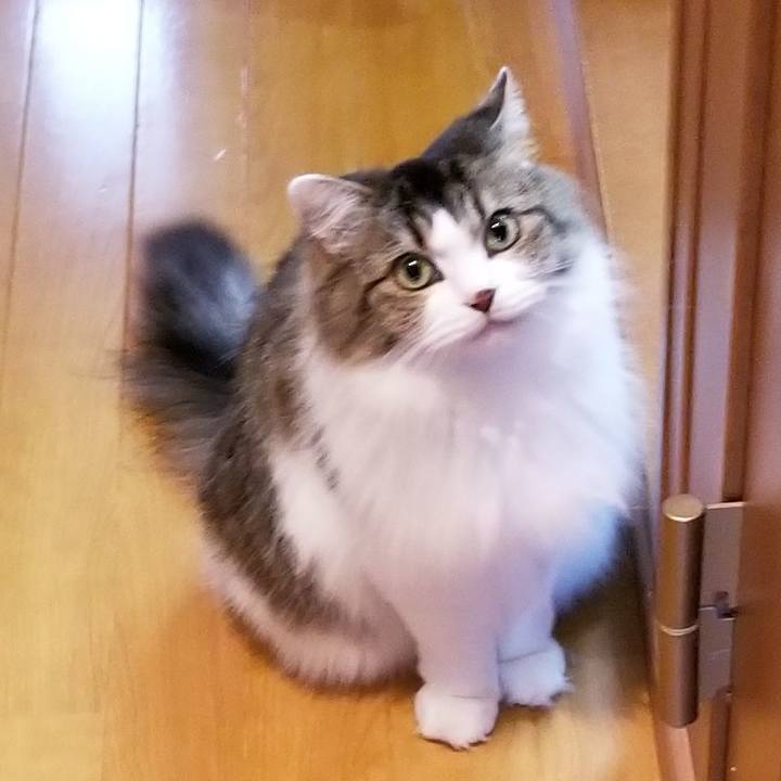 23c72064 48b7 4f5a b779 791f7a943572 1571186618225