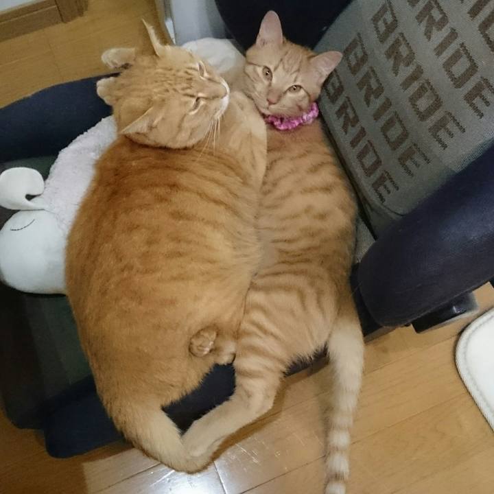 23c760fa ca8b 4869 b98b 8e04b9677b16 1548464117919