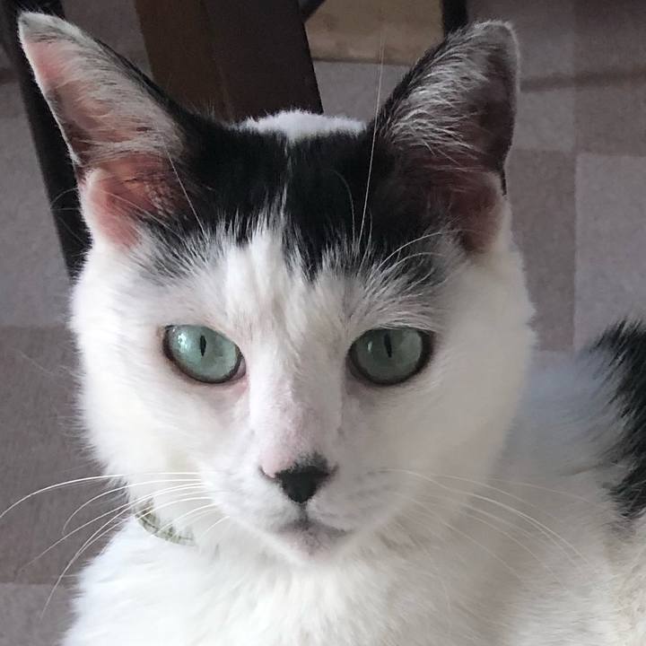 23c7c967 d367 449d 8174 590fb5debe51 1568447268750