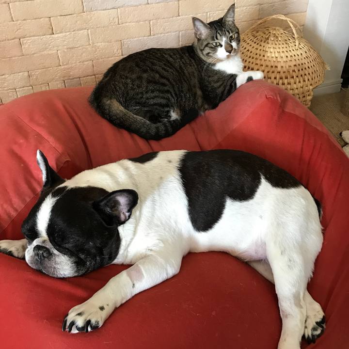 23c7d545 a29a 4370 8051 918fc8a827b4 1528159604689