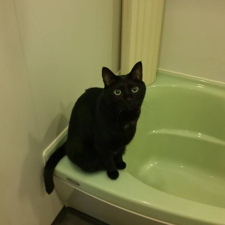 23c828cc 4ef0 4375 ab7e fb9f23d21470 1764106769413