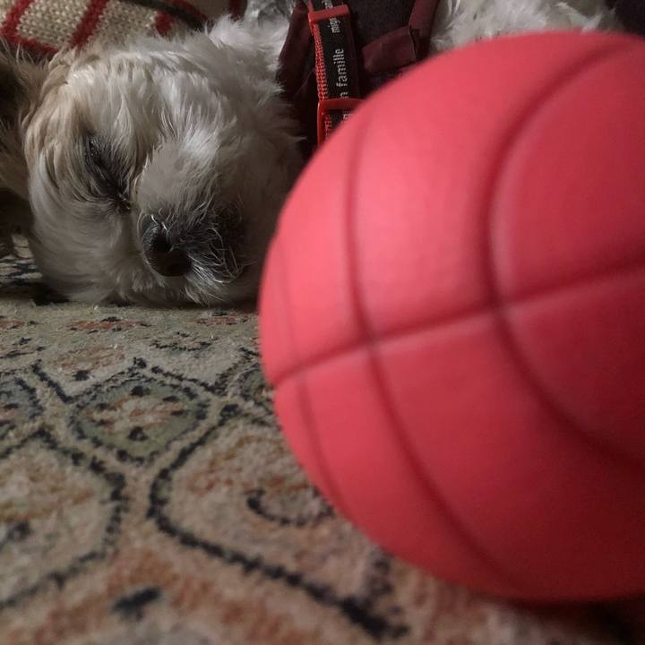 23c83de6 9d33 447d 8564 f1dce66f6b12 1609970094125