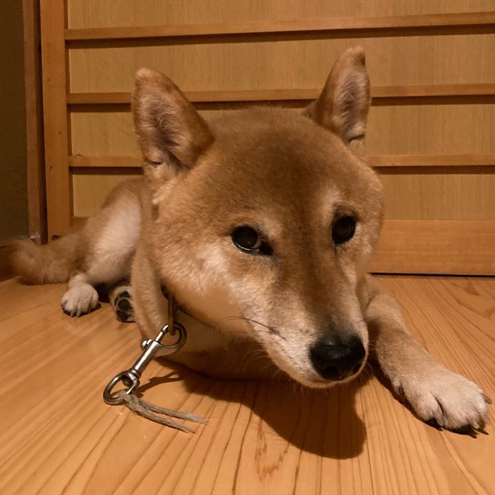 23c8a518 cbf3 4622 bc06 9d50422d124c 1624195261431