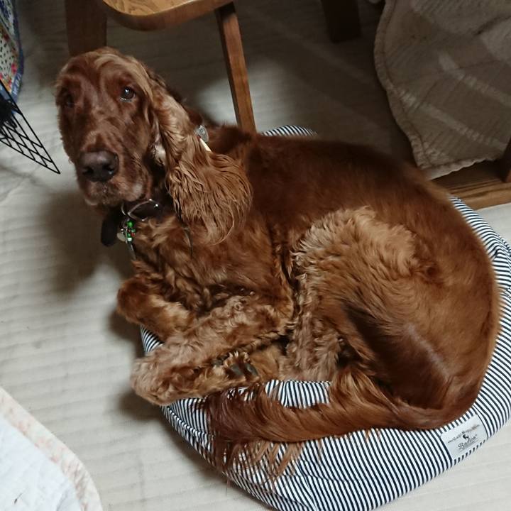 23c8c49b e983 4ce0 ad2e ee0665814685 1525404020333