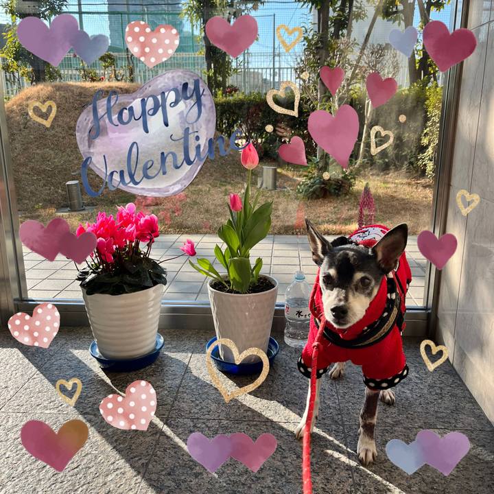 23c8ccd7 e9a9 4741 919b 952cdd2d003e 1644793876728