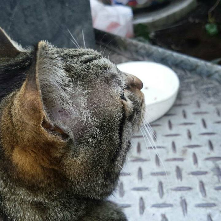 23c8eb99 a313 48cb 9096 ba3b10fcdfa1 1520036699014