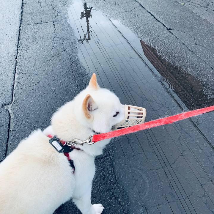 23c8ecd7 e936 40e0 abd5 dc6fad4f20b9 1593291641872