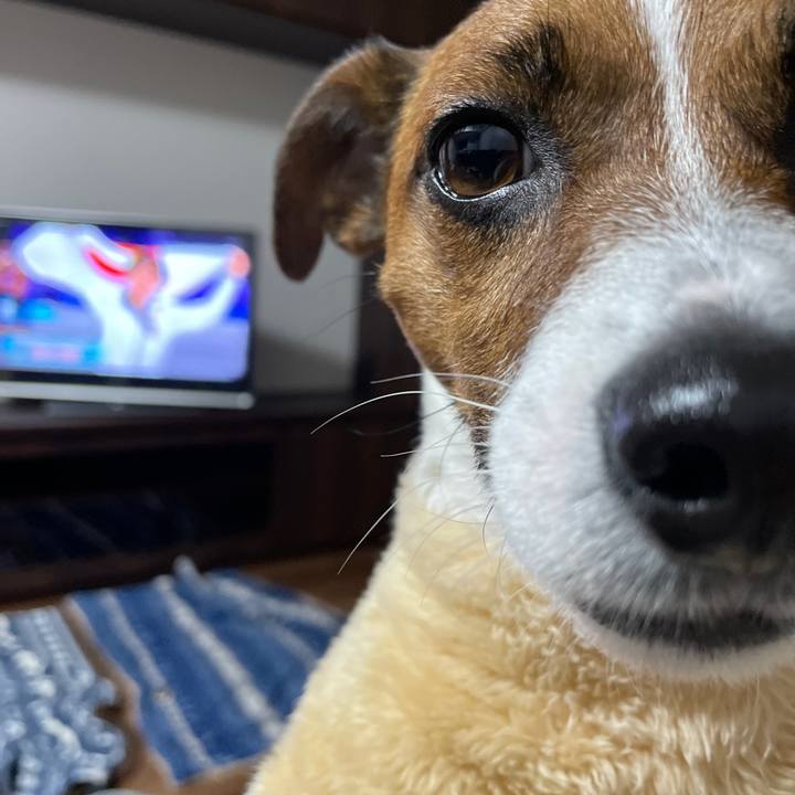 23c8ed53 ee25 4b98 a5f5 b8bf68cca358 1644049429630