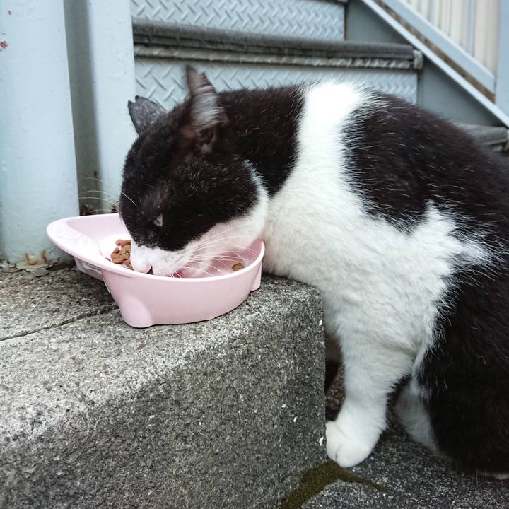 23c8fae4 71f4 44c8 bc62 db6b22c3f16b 1630314006244