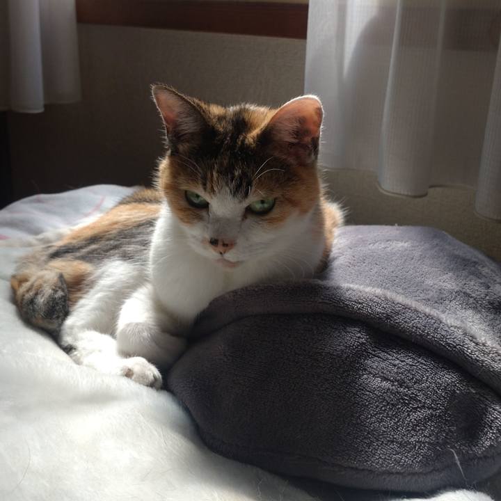 23c8fec9 4d5f 44b8 9ca2 f489ac9a0e93 1757815202546