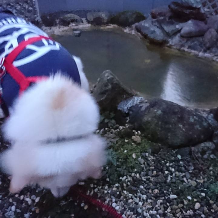 23c9108f 0939 47b5 be93 0ba824a226aa 1516053168977