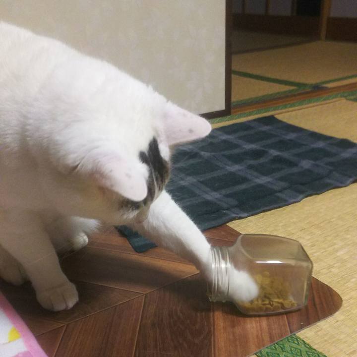 23c95f39 3ccb 4db1 baad 68cca0d13ae7 1545610090482