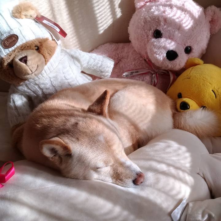 23c99605 3ad5 4ded b0b2 5efe0e89370a 1577589885185