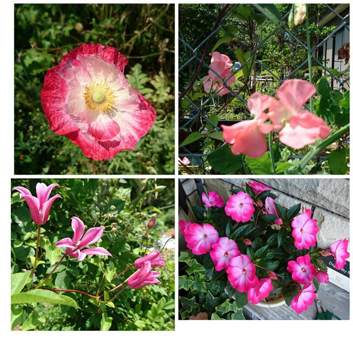 23c9a77a 88dd 4578 90ac cec7f3e7ec67 1528024024570