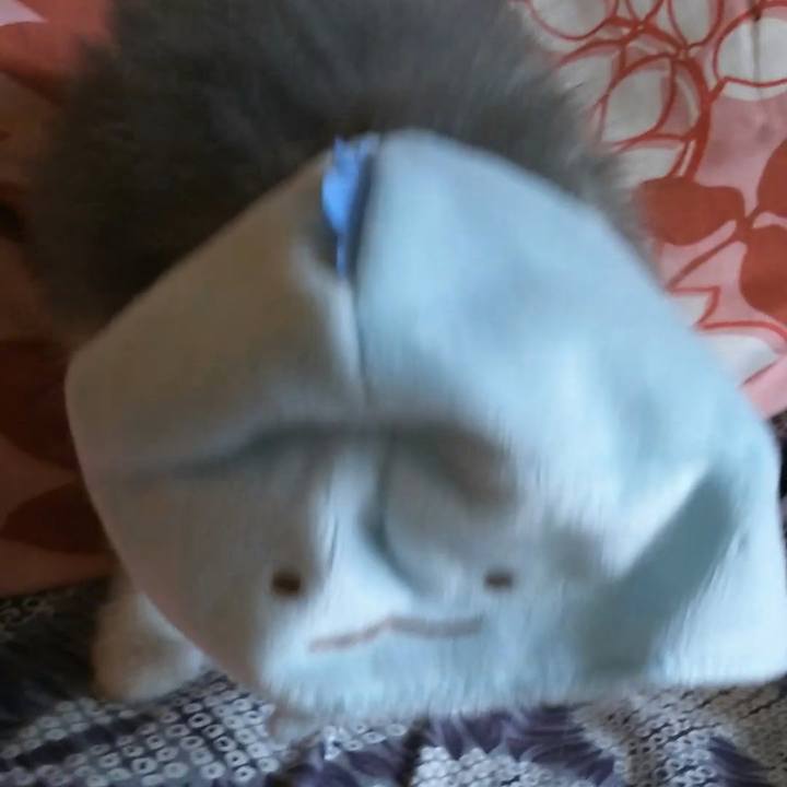 23c9bf5d c9e6 4da6 b498 1b5b3530db7d 1558655619942