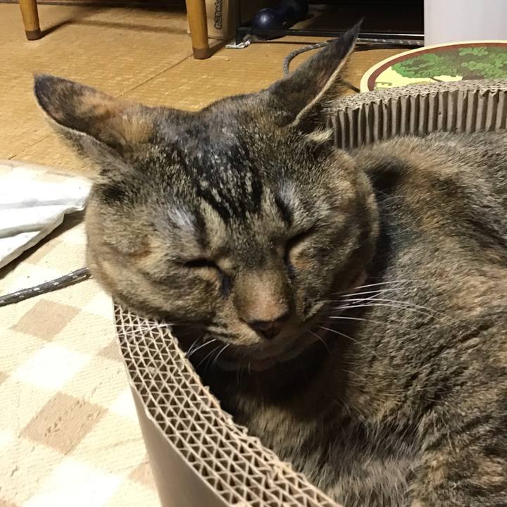 23c9c05b a322 443e 9be4 f3d8ac71e2e7 1699620447256