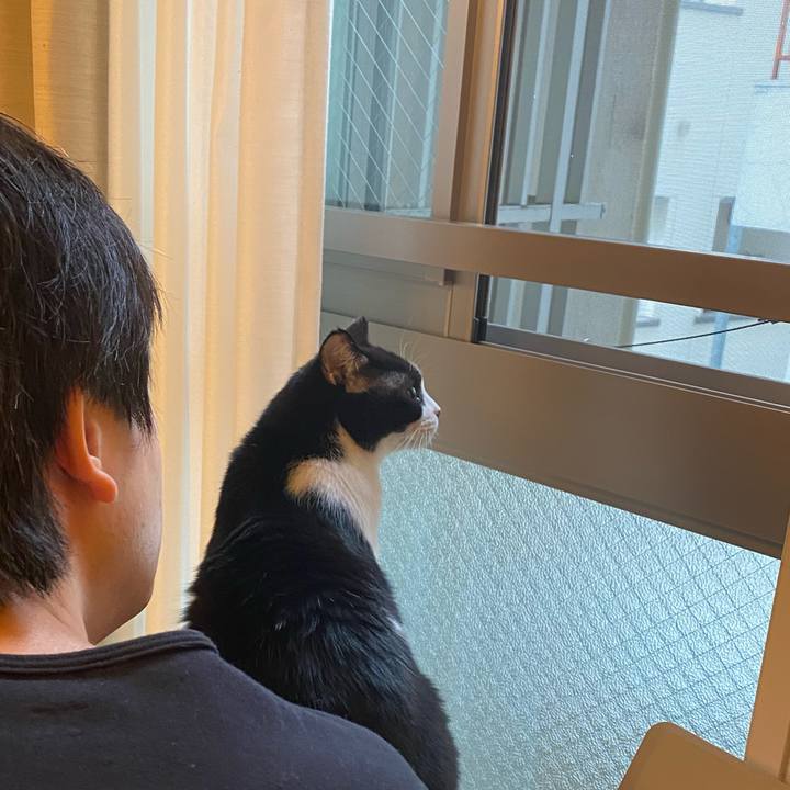 23c9cb62 7acc 45a2 8aed af0f6b640417 1719745692589