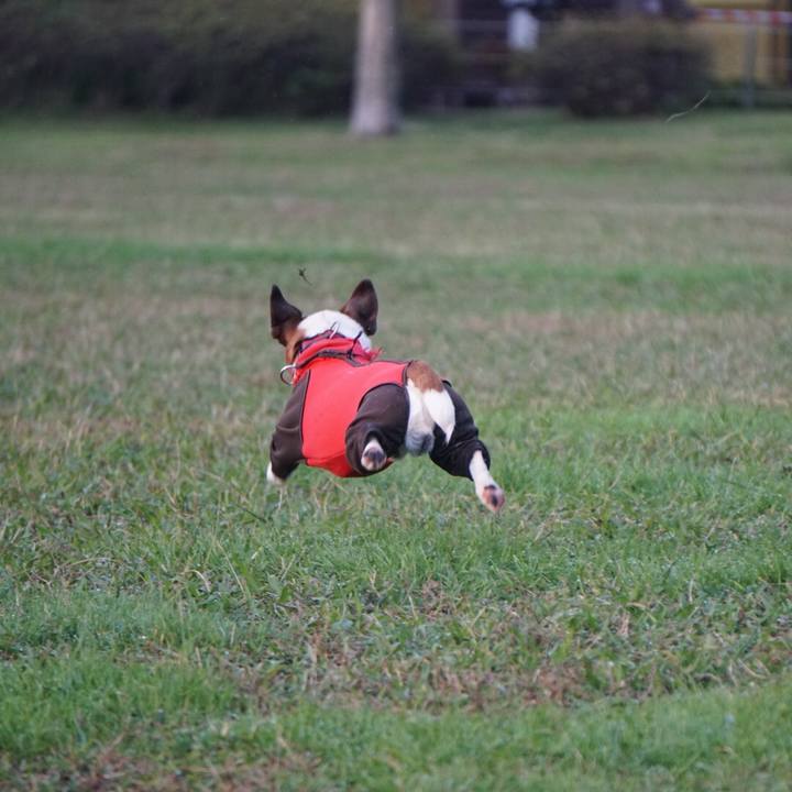 23c9f8df 9ca3 4b2a be85 fb112a96c978 1542149739989