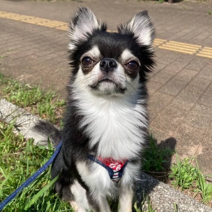 23ca2a8d 3f92 44a0 91b0 bb90c75cc8ea 1620534775283