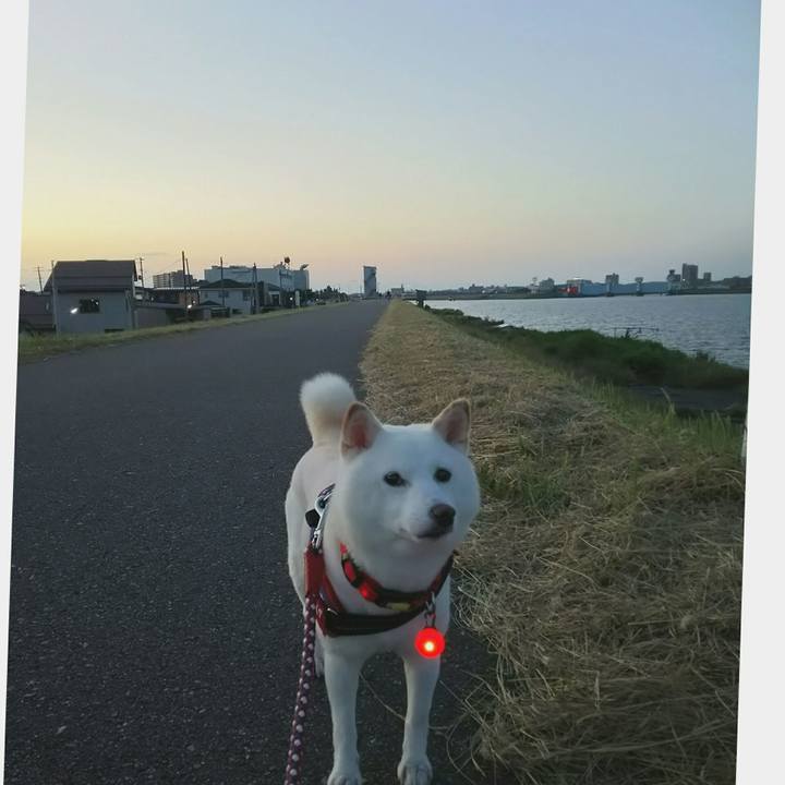 23ca44fd b4db 4883 82b5 a4484c0dcf75 1592910473246