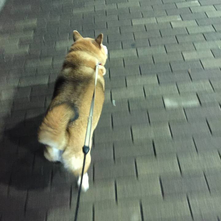 23ca4d76 94bd 41ee 9cd5 19e9c79fc785 1517577997523