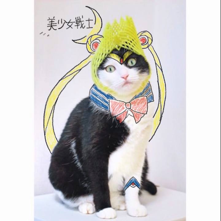 23ca5948 9bf4 473a aec5 83bd0a121589 1588856709376