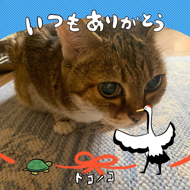 23ca5c74 aff7 4537 b9c2 83a788f601fb 1727393776313
