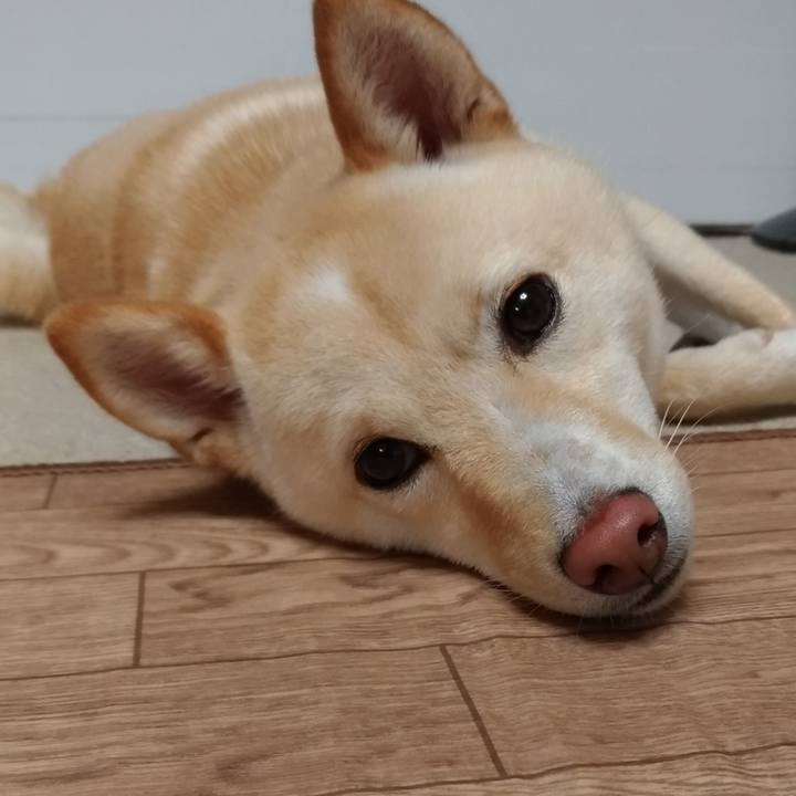 23ca8865 17bf 4344 b0ef 7190110c0a67 1529490806338