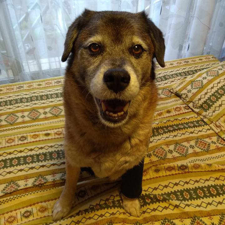 23ca929c ccbd 4412 ae4f 8ca033f9f97b 1559557571492