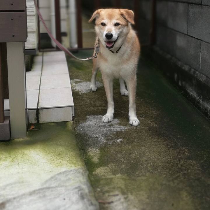 23ca9836 f1ed 4605 b48b 6c7427b978c2 1561967564691