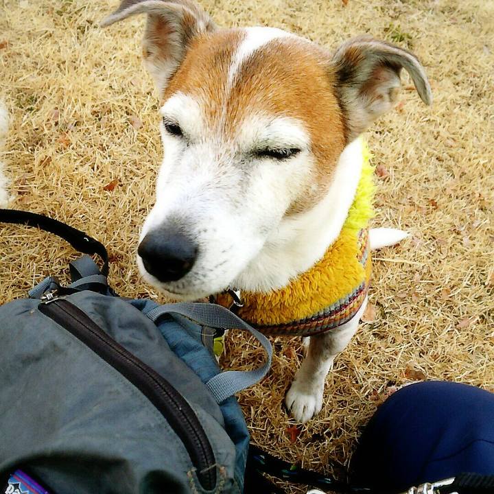 23cac529 c97b 44c1 9b66 f9756342d536 1518432311378