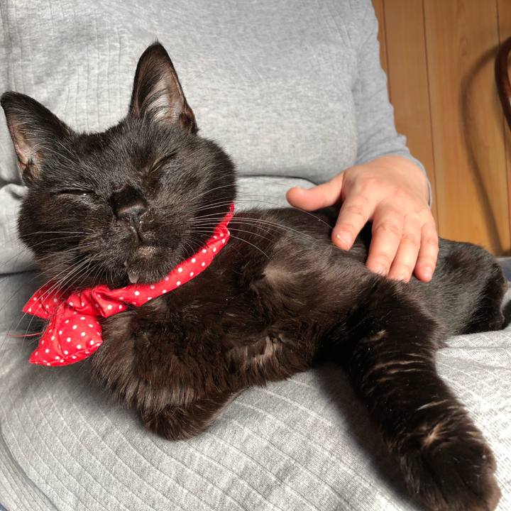 23cae26a c1bb 46d4 9409 62aa4b5ba297 1556955276697