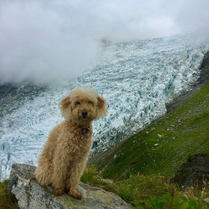 23cafa9b c504 4b11 81d9 f31631551656 1574867908852