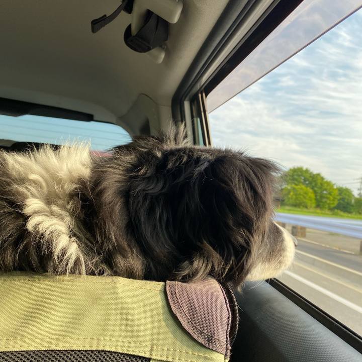 23cb3262 ddc8 4d92 91c9 9f5ade5918aa 1652738742266