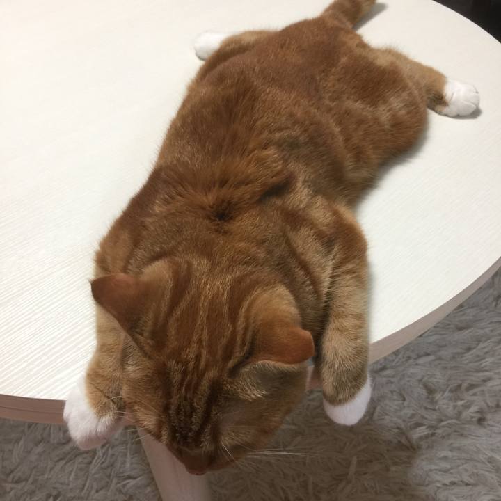 23cb32e8 7133 4812 b21b 433a178e1a33 1592487373945