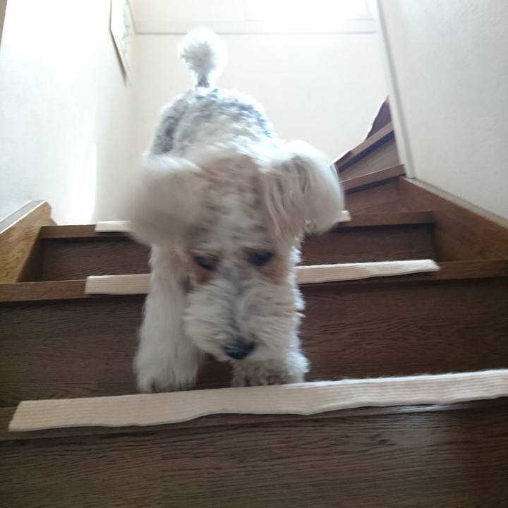 23cb42ff 6ae6 4247 89a8 0e64664bbde4 1588208405356